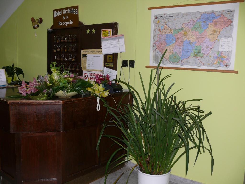 Hotel Orchidea Balástya エクステリア 写真